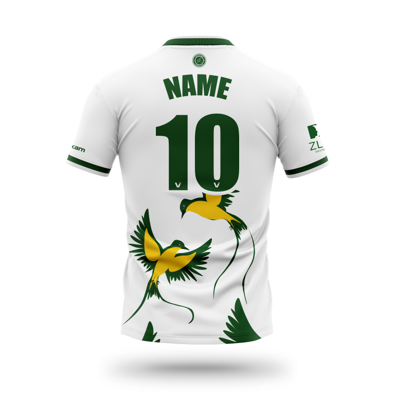 GOLEVAV Maillot - PAILLE EN QUEUE