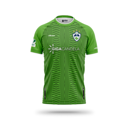 SEWE SPORT Maillot de match H - Vert